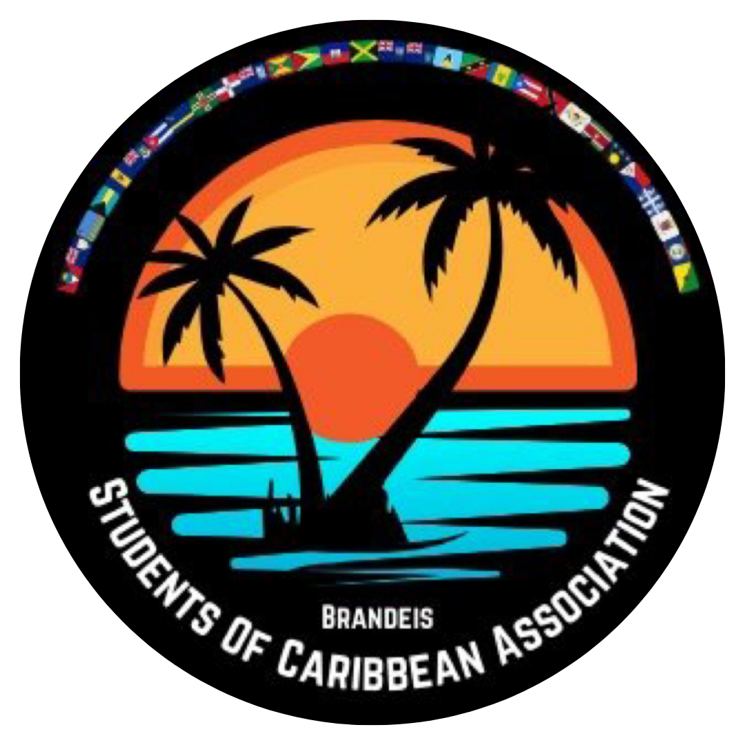 VSA logo