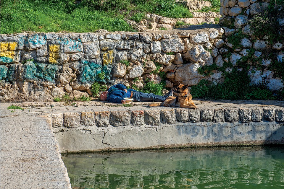 Man and dog by a stone pool