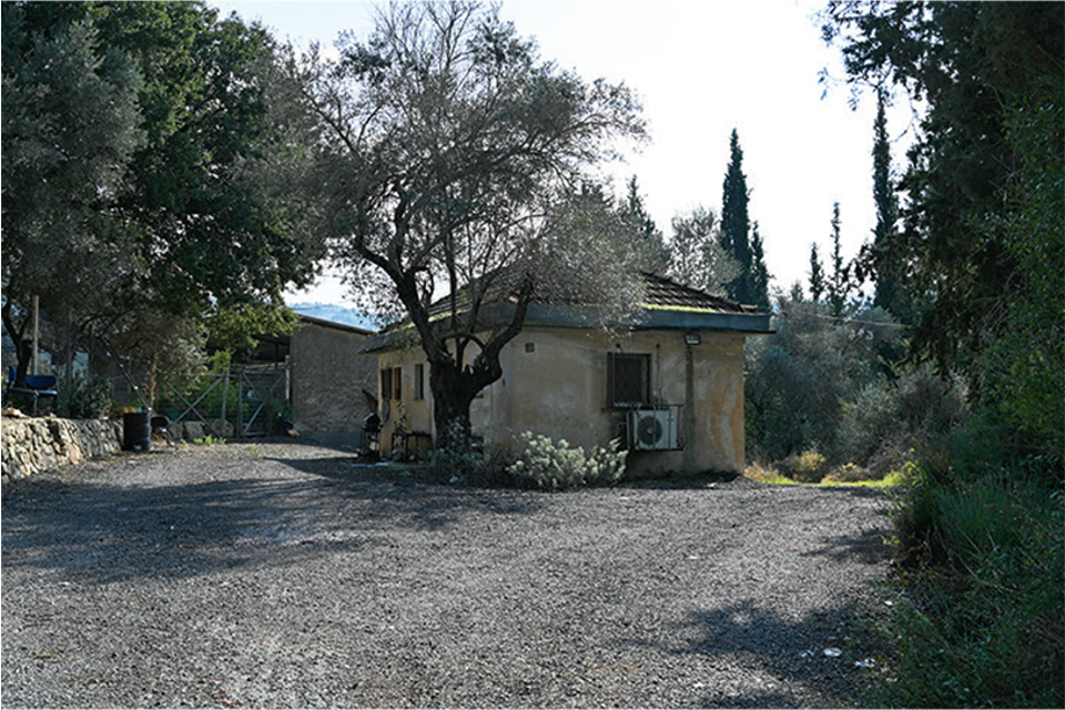 Small house on gravel, with trees