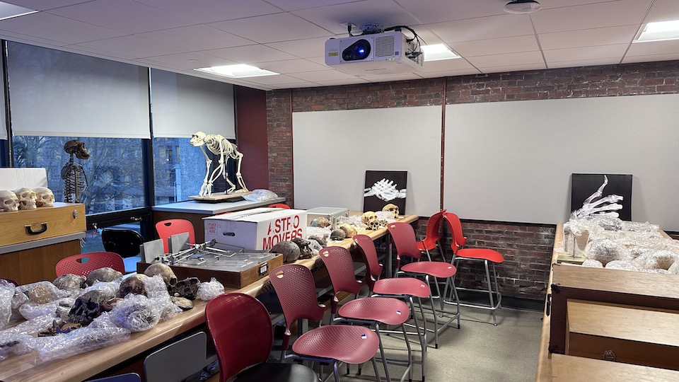 Brown 218 back of classroom