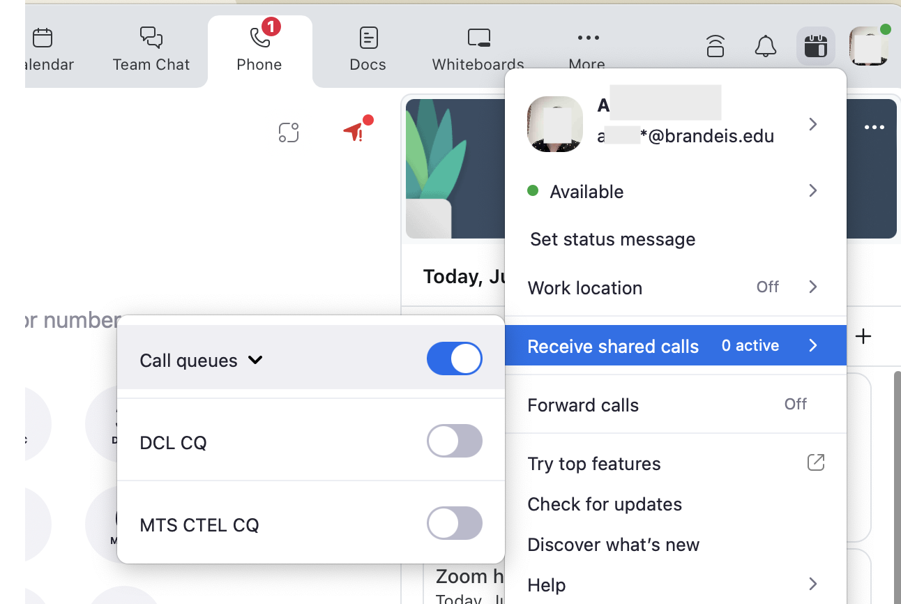 turn on shared lines