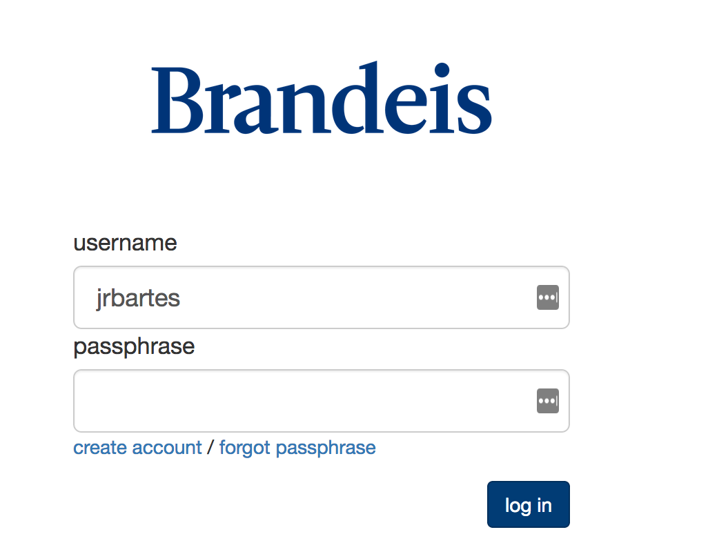 image depicts the Brandeis sign in screen