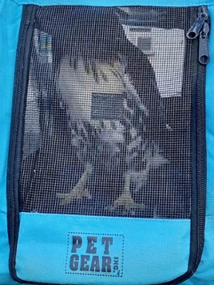 Hawk in carrier