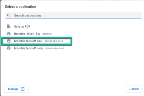 Print destination options