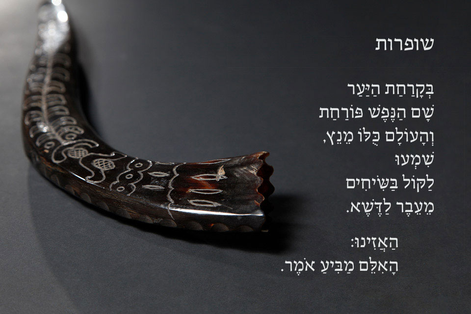 Late 19th century shofar with Hebrew excerpt overlay.