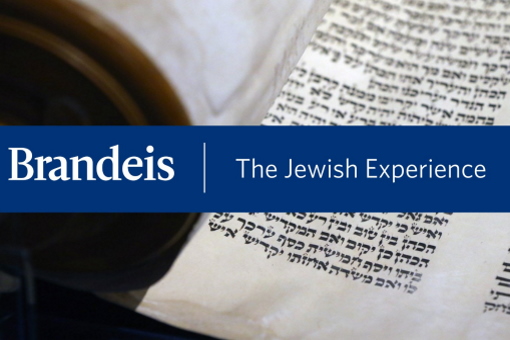 Jewish Experience logo