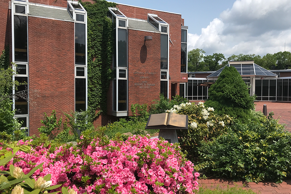 Front of Library building with pink flowers