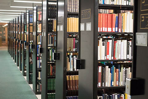 Shelves of books