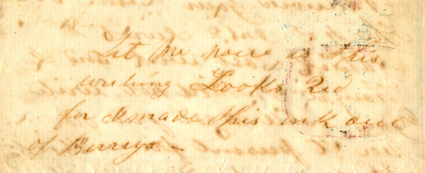 Portion of a letter that Michael Lally wrote on November 14, 1861 with berry ink