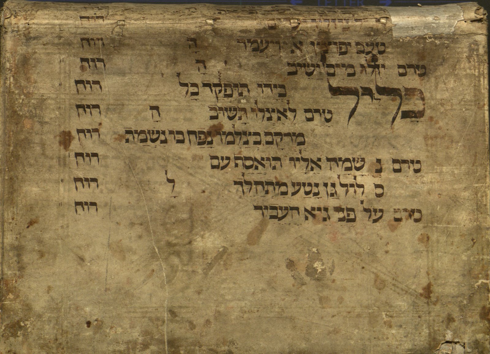Excerpt of manuscript in Hebrew