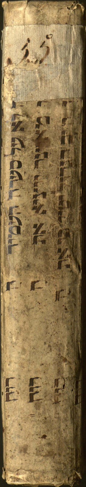 Upright spine of Sermones Thesauri Novi de Tempore by Jerusalem's Peter Paludanus, published in 1496