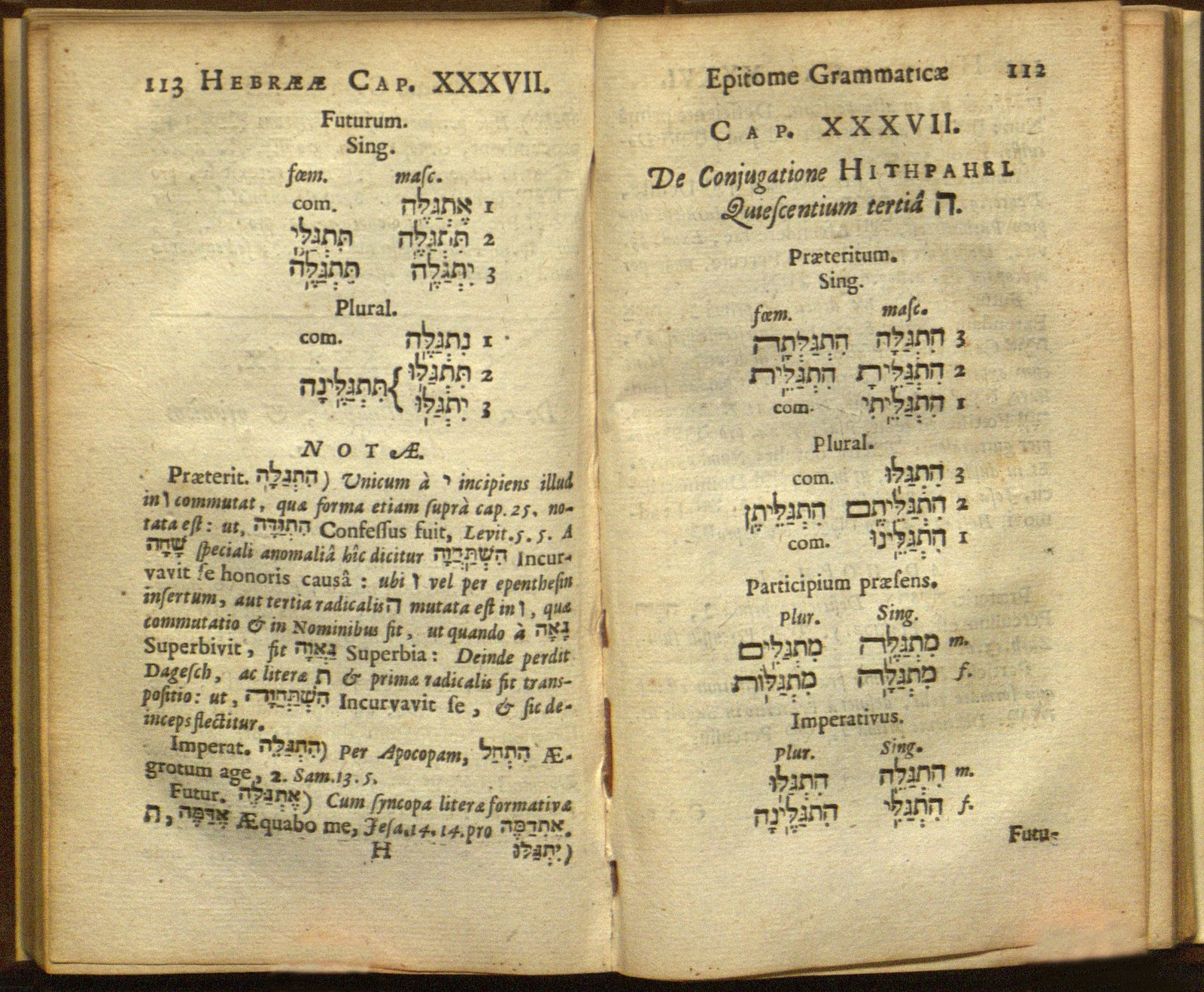 Pages 112 and 113 from Epitome Grammaticus Linguae Sanctae Hebraeae