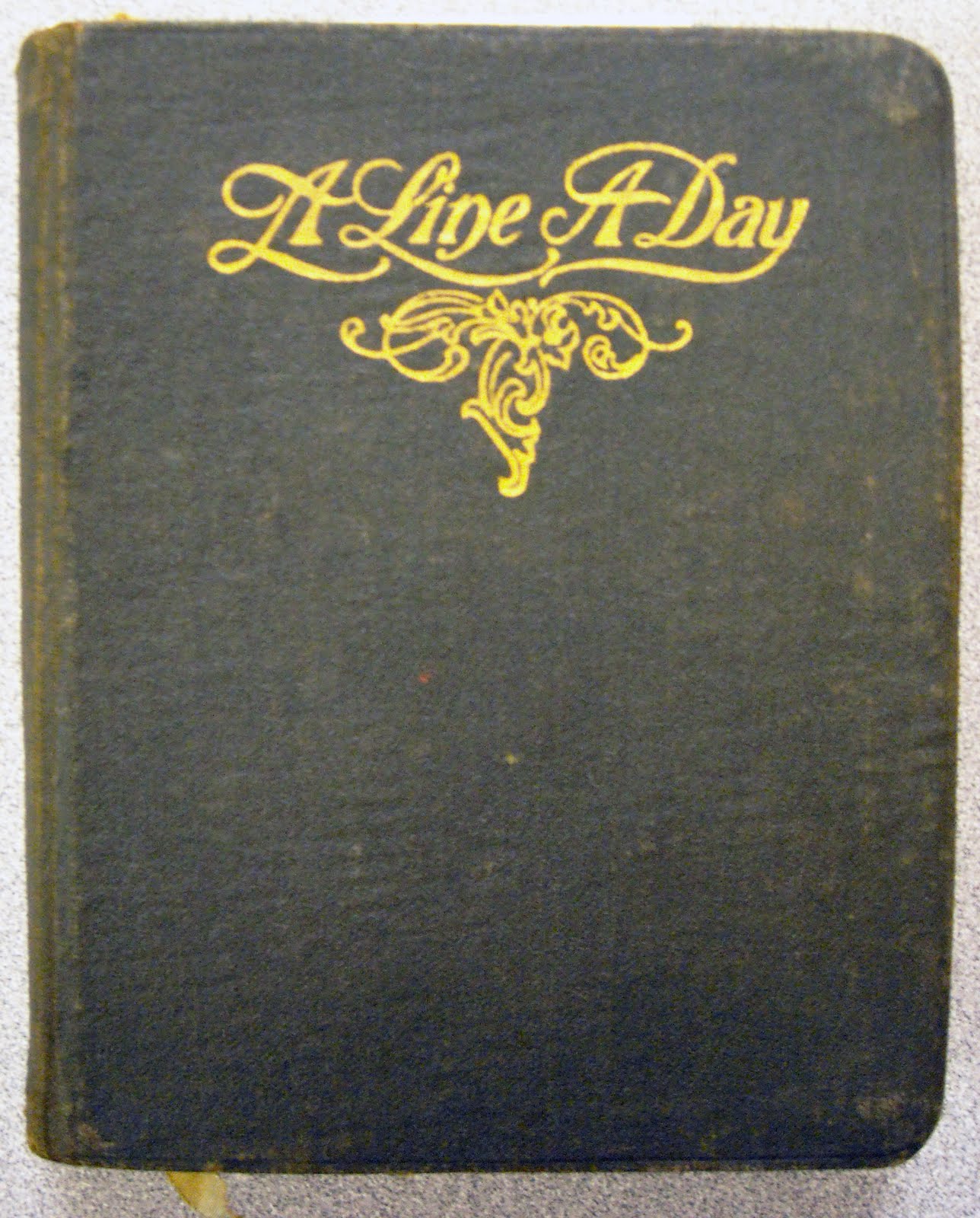 The front of a worn out diary, text: "A Line A Day"
