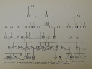 A eugenics family tree