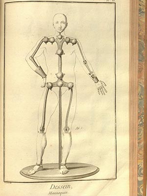 Diagram of a mannequin as an aid to drawing/studying the human body