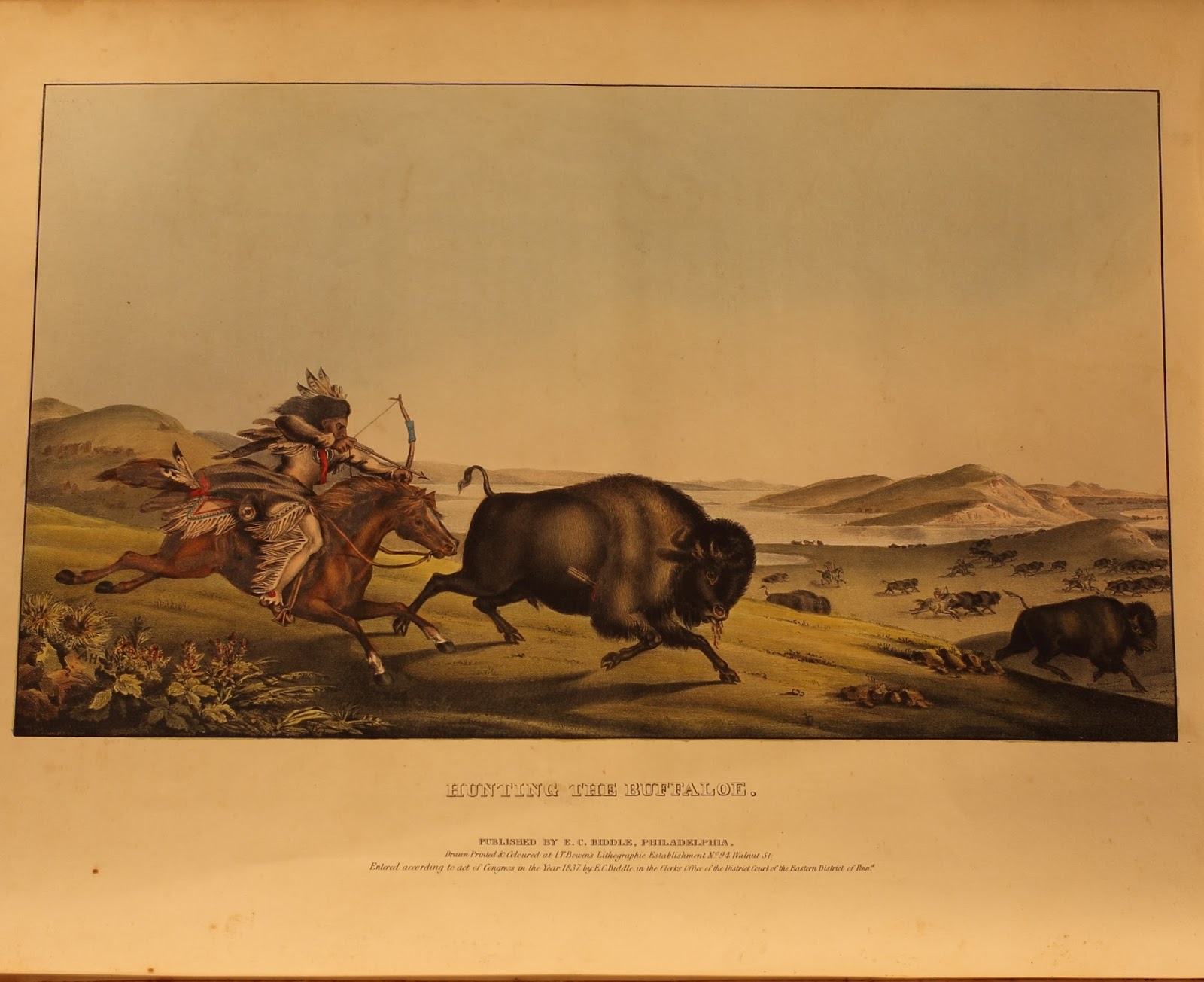 Illustration of a native American man on horseback, wearing a feathered headdress, aiming his bow at a buffalo, Text: Hunting the Buffalo