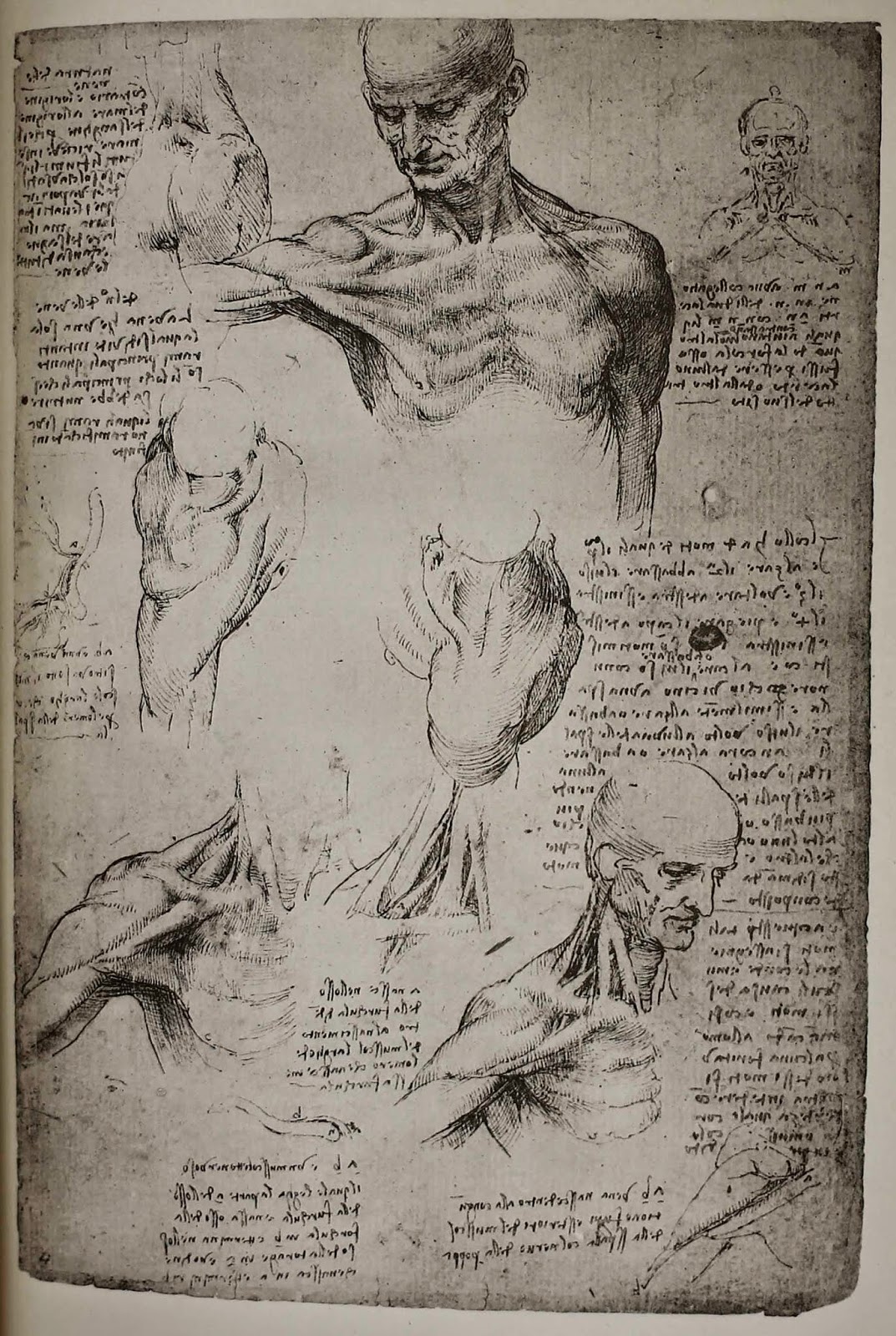 A page from Da Vinci's Codice Dell'anatomia containing anatomical drawings and handwritten text.
