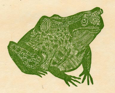 Illustration of a frog with various green shadings amidst a faded-beige background