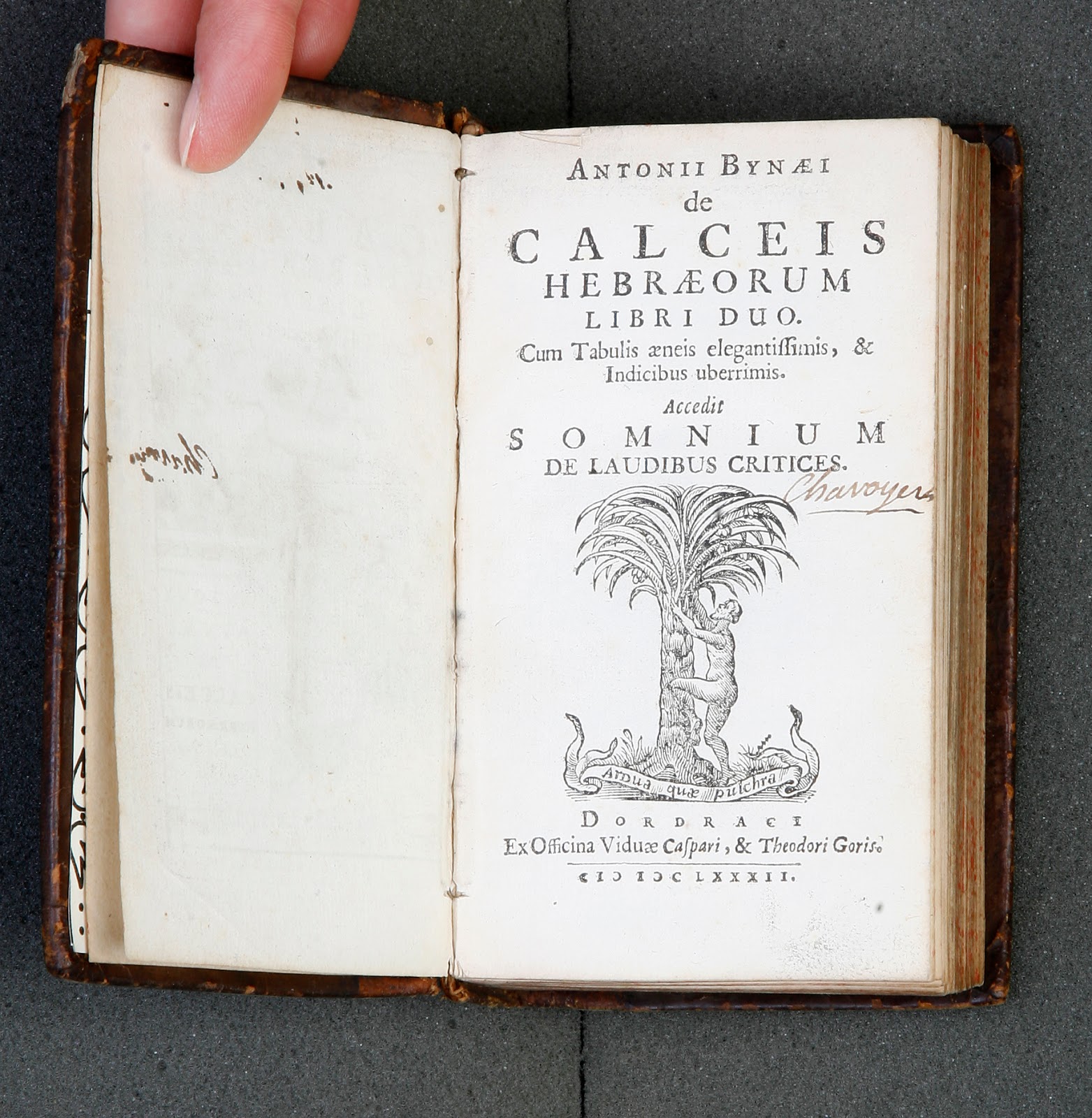 Cover page of Antonii Bynæi de Calceis Hebræorum with illustration of person climbing palm tree