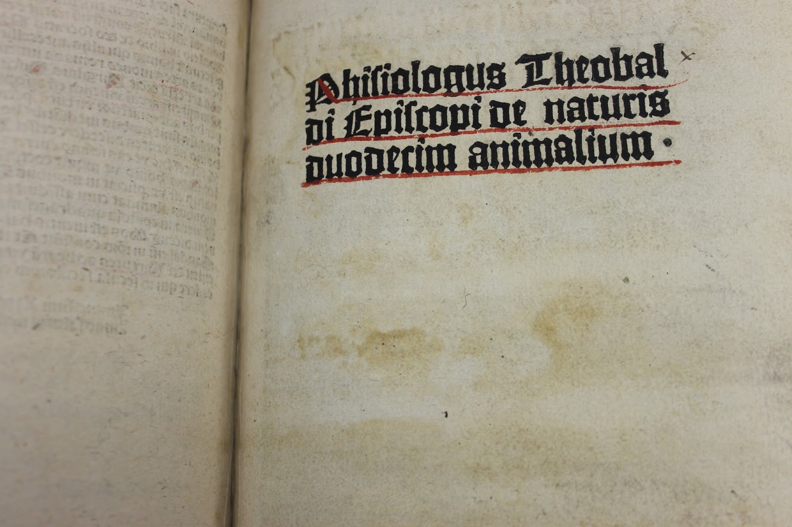 Inside page of Theobaldus' Phisiologus de Naturis Duodecim Animalum, 1493, with text written in black and red ink