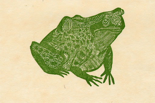 Leonard Baskin woodcut of a frog from the Natural History book