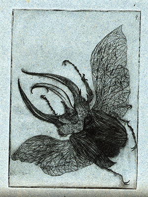 Leonard Baskin artwork of a horned pest, by Leonard Baskin
