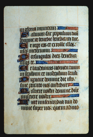      Page 29v, containing a dense block of blackletter text, with 7 illuminated initial letters , and several horizontal ornaments that fill up empty space at the end of sentences.
