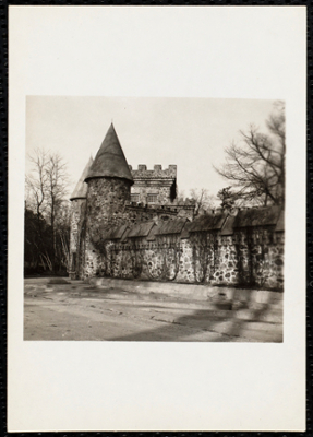 Upwards view of the castle with tree on right side