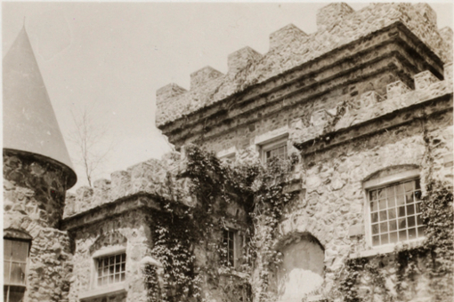 Closeup of architectural details along the roof of the Castle