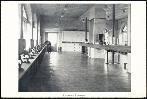 Pathology lab with microscopes set up on a long table near the windows. At the end of the table someone is bending down to adjust or look at a microscope.