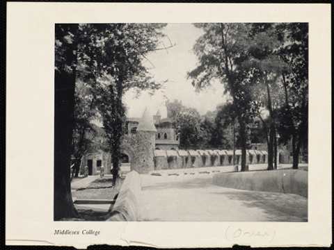 View of the castle from the road.