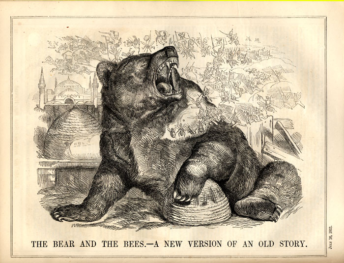 the Bear and the Bees -- A New Version of an Old Story