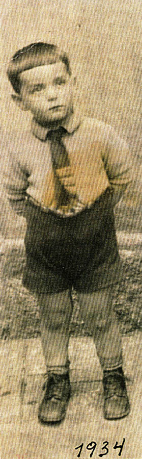 Boy standing in shorts, collared shirt and tie