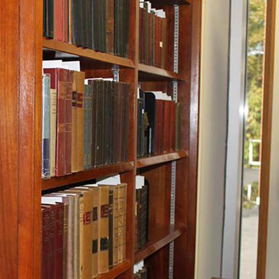 Bookcase with books and a small Brandeis bust