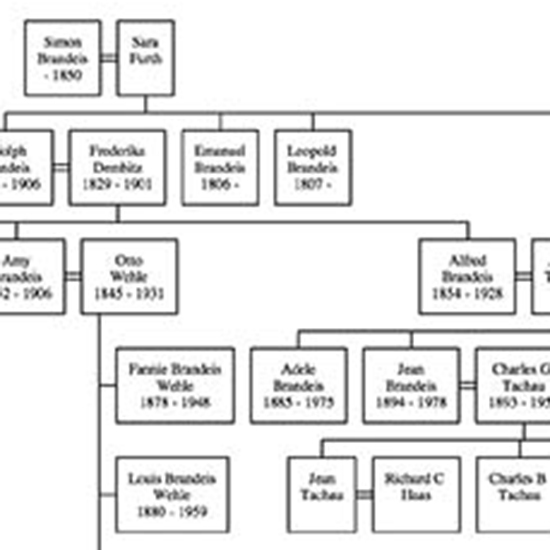 A diagram of the descendants of Simon Brandeis
