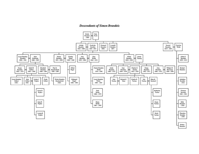 A diagram of the descendants of Simon Brandeis with various boxes displaying the names of individuals descendants and lines to indicate their relationships