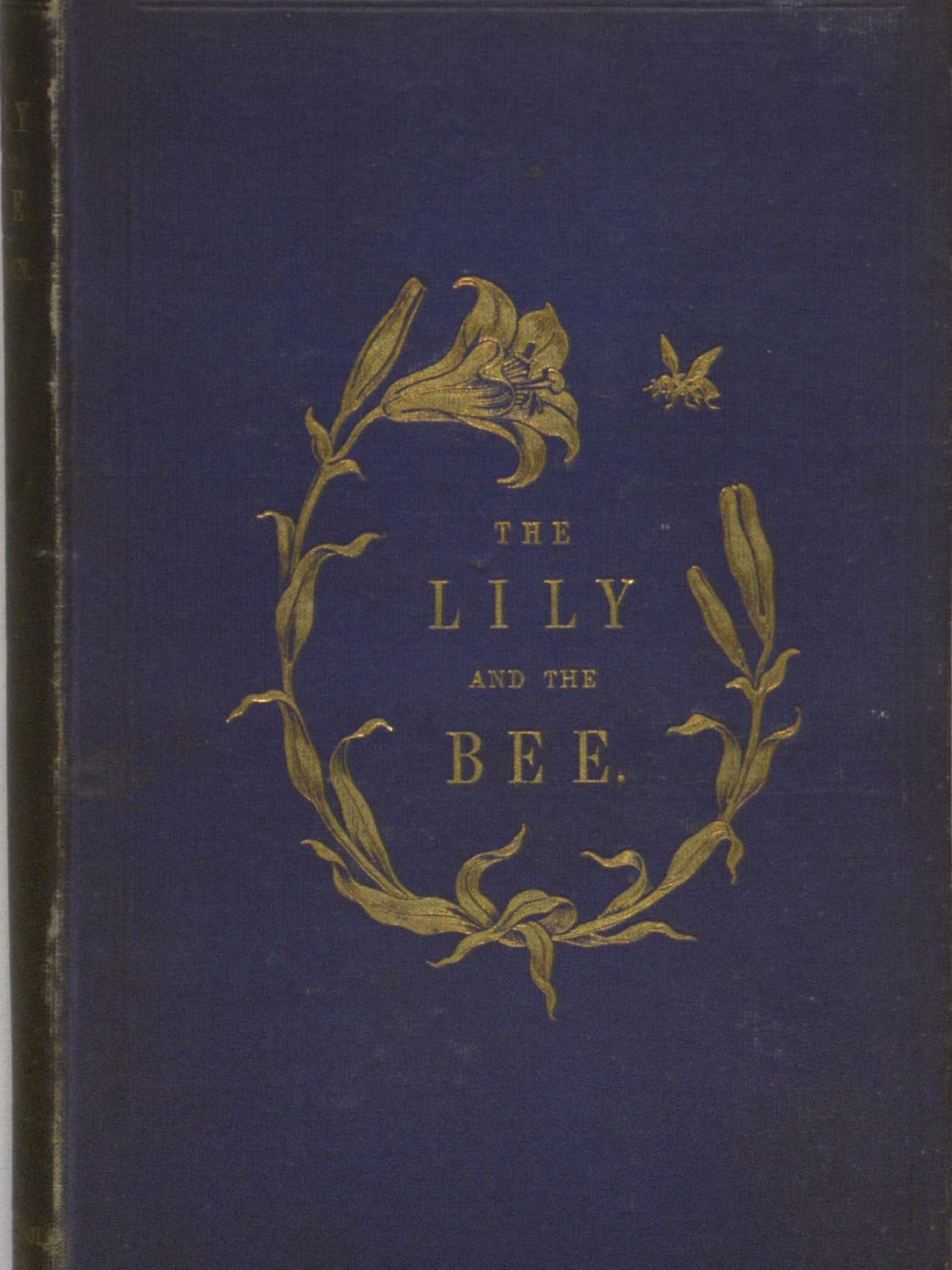 Cover of "Lily and the Bee," a blue cover with gold lettering that reads: "Lily and the Bee" with illustration of a lily curling around the words and bee on the upper right side