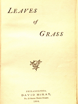 McKay edition cover, 1884