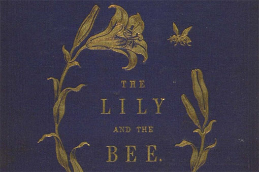 Featurebox for Lily and the Bee, with book cover