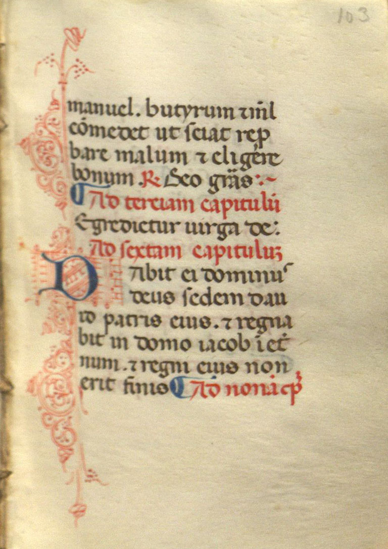 Illuminated letter D with penwork flourishing in the borders in the 15th-century Italian Book of Hours.