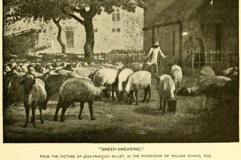 Sheep Shearing from the picture by Jean-Francois Millet, engraving