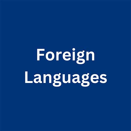 Icon for foreign languages