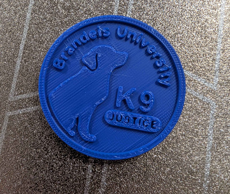 Blue plastic coin with a dog on it.