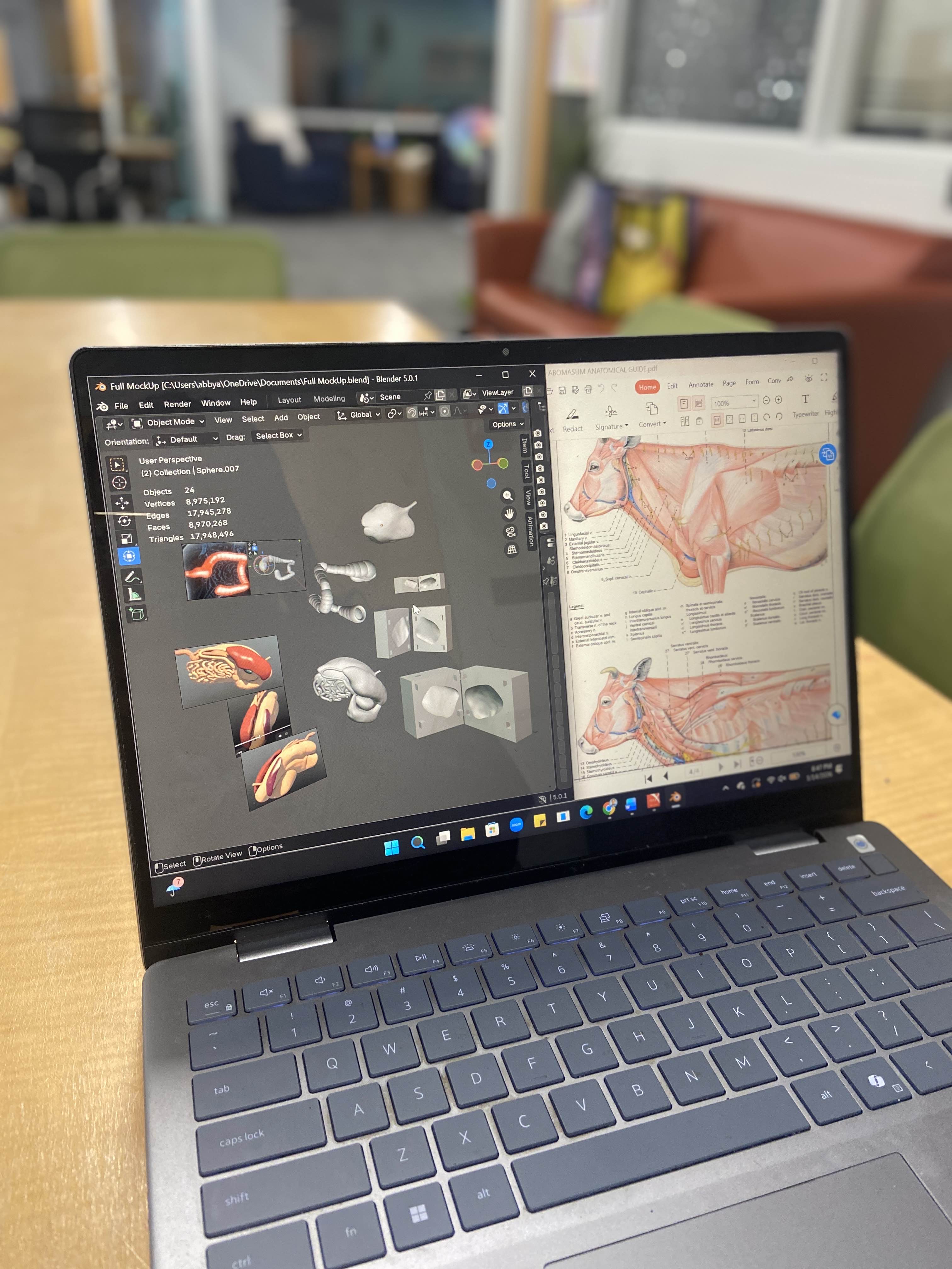 Photo of a computer screen with a cow model on it. 