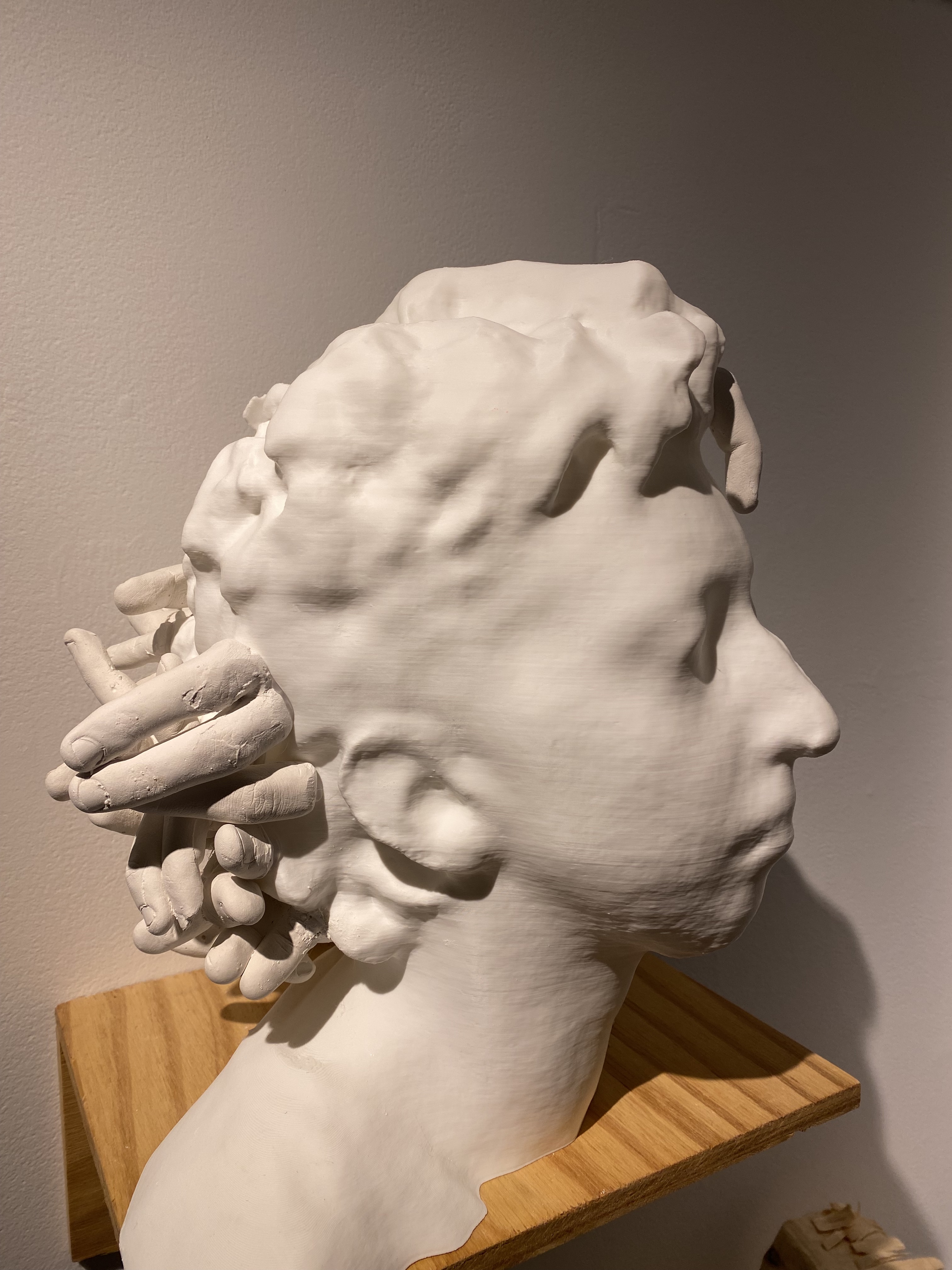 Photo of a sculpture of a head.