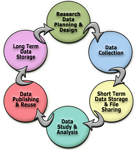Data cycle graphic
