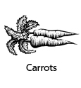 carrots