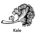 kale