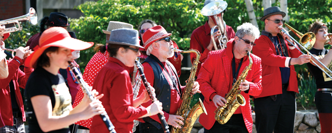 Second Line Social Aid and Pleasure Society