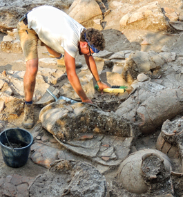 DIG THIS: Chemical analysis showed residues of honey, mint, cinnamon bark, juniper and resins in 40 wine jars unearthed at Tel Kabri, an ancient palace in Israel.